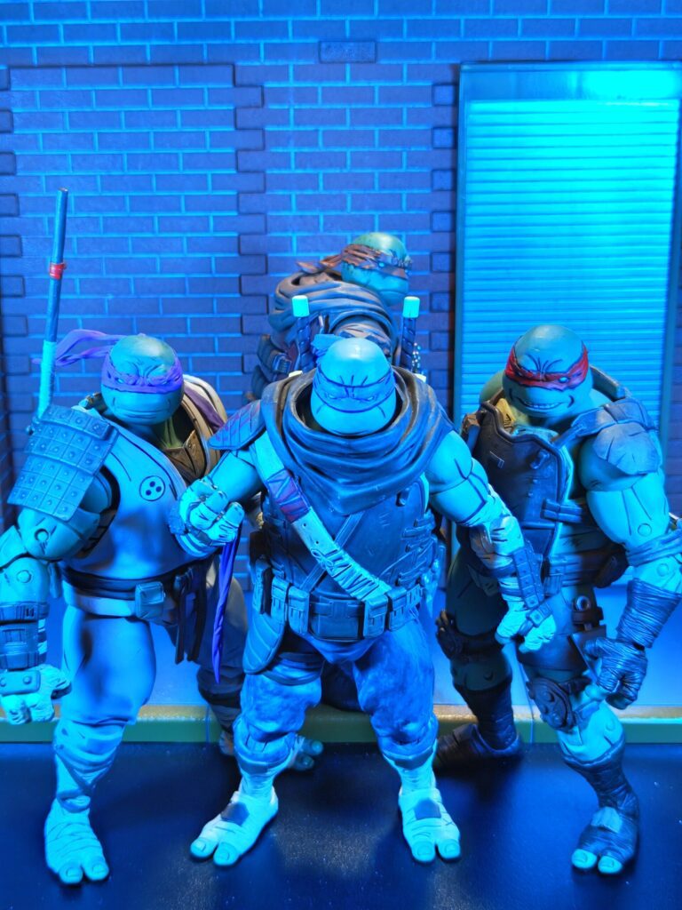 Totally Mature Ninja Turtles: The Last Ronin Variants