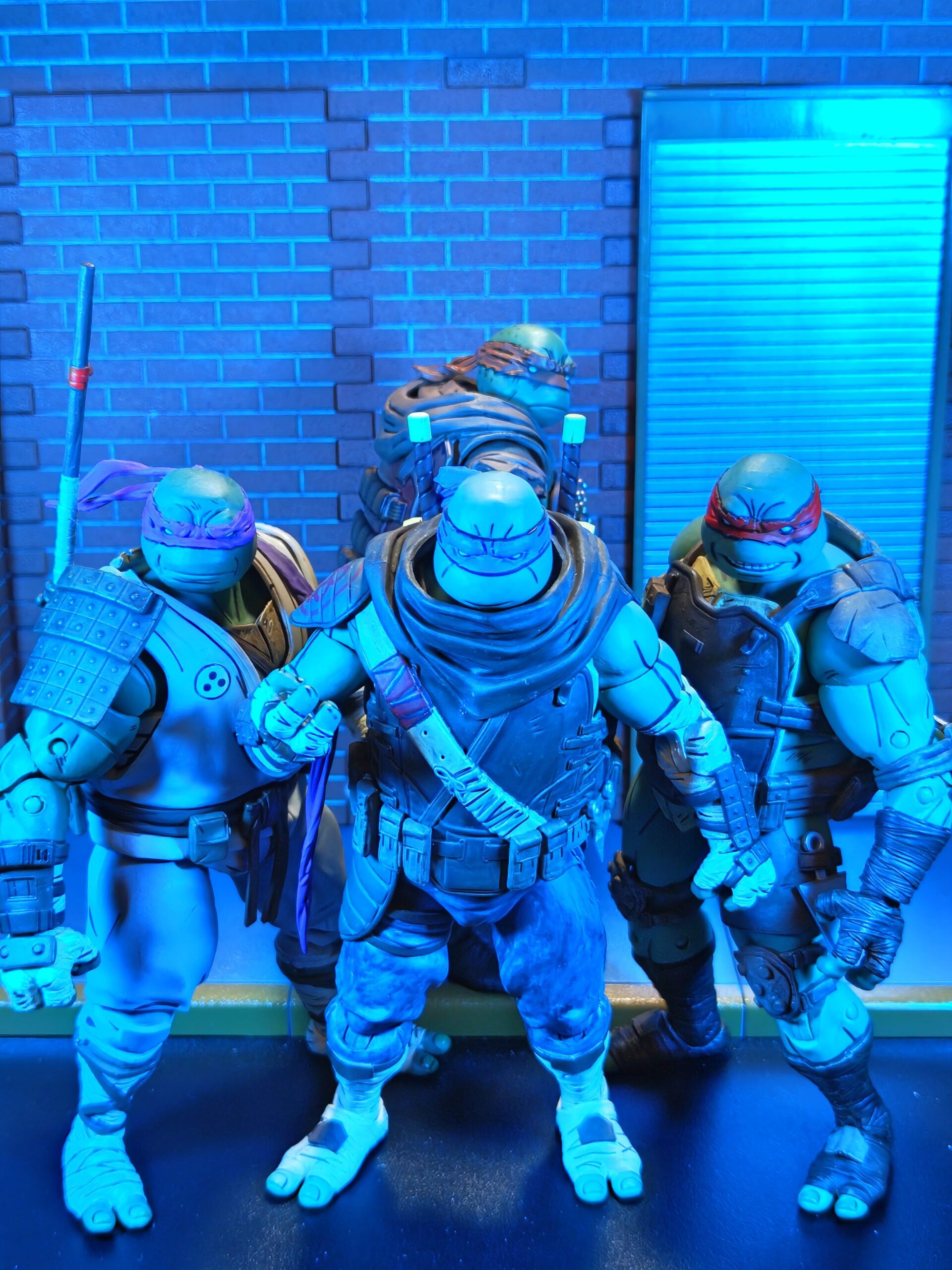 Totally Mature Ninja Turtles: The Last Ronin Variants